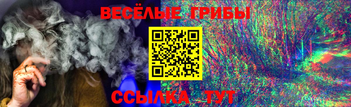 ГАШ Нарткала