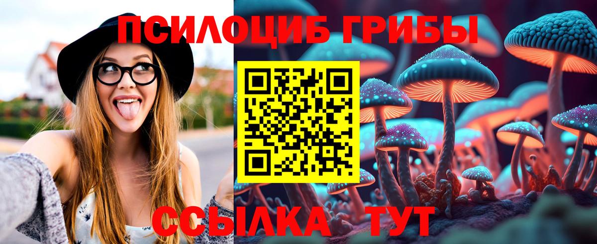 Псилоцибиновые грибы Psilocybe  как найти закладки  Нарткала  Вход с VPN 