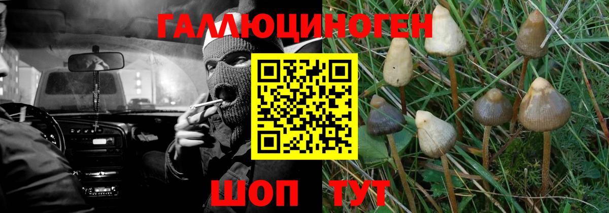 Галлюциногенные грибы Cubensis Нарткала